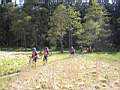 dscn2833.jpg