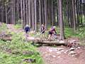 dscn2880.jpg