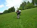 dscn2994.jpg