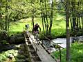 dscn3009.jpg