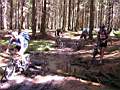 Dscn1698.jpg