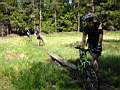 Dscn1731.jpg