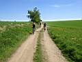 Dscn1745.jpg