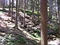 Dscn2007.jpg