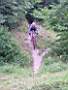 dscn4015.jpg