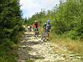 dscn5303.jpg