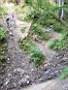 dscn5330.jpg