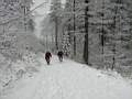 dscn7187.jpg