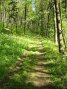 dscn1151.jpg
