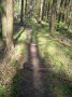 dscn1169.jpg