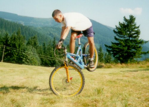 Marek