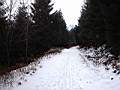 1221_0037.jpg